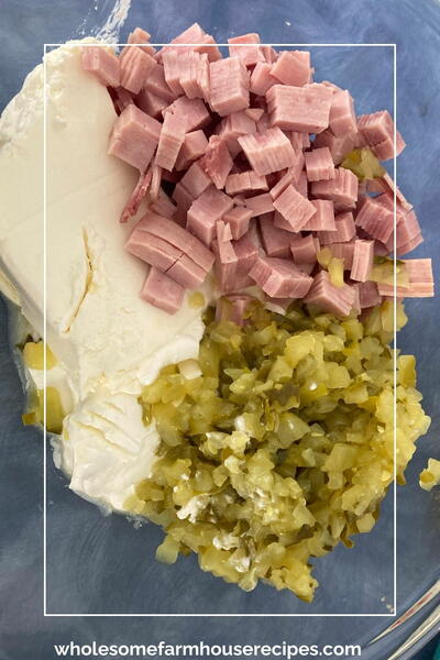 Easy Pickle Wrap Dip Appetizer Recipe Easy Pickle Wrap Dip Appetizer Recipe