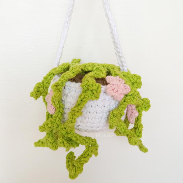Hanging Plant Hanging Plant