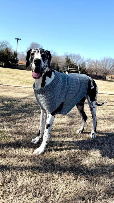 Giant Dog Sweater