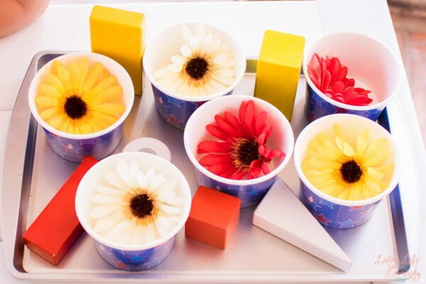 Toddler Boredom Buster With Cups And Flowers Toddler Boredom Buster With Cups And Flowers