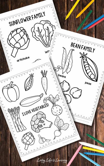 Vegetable Coloring Pages Vegetable Coloring Pages
