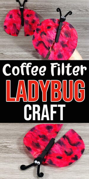 Coffee Filter Ladybug Craft Coffee Filter Ladybug Craft
