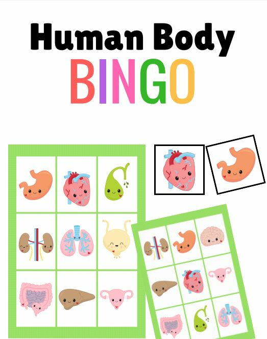 Human Body Printable Bingo Cards Human Body Printable Bingo Cards
