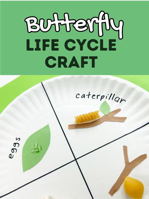 Butterfly Life Cycle Craft Butterfly Life Cycle Craft