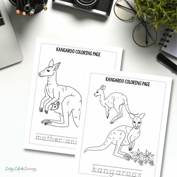 Kangaroo Coloring Pages Kangaroo Coloring Pages