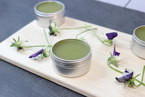 Wild Pansy Salve Recipe Wild Pansy Salve Recipe