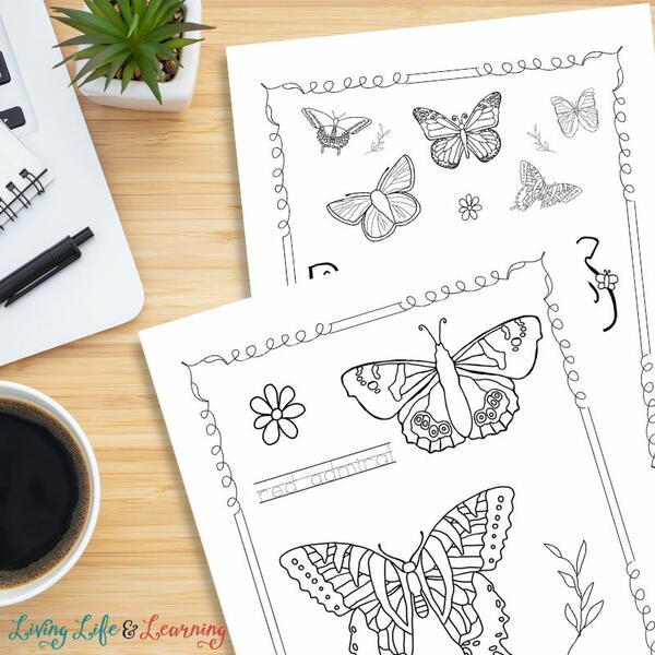 Butterfly Coloring Pages Butterfly Coloring Pages