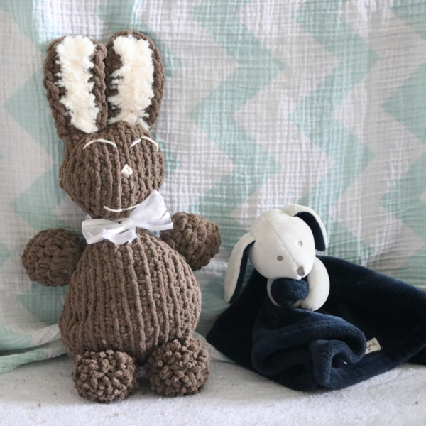 Bubsy The Bunny Bubsy The Bunny