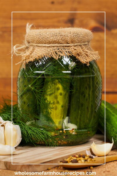 How To Make Homemade Polish Dill Pickles Recipe How To Make Homemade Polish Dill Pickles Recipe