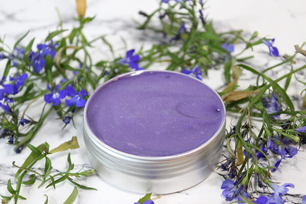 Wild Violet Salve Recipe Wild Violet Salve Recipe