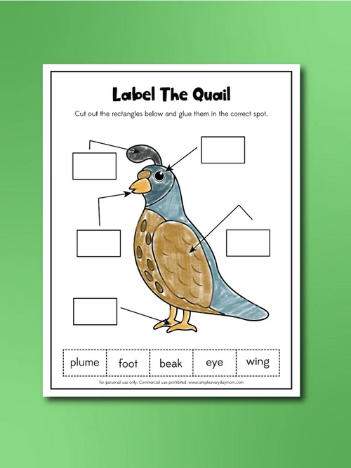 Quail Worksheets Quail Worksheets