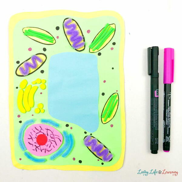 Plant Cell Craft Plant Cell Craft