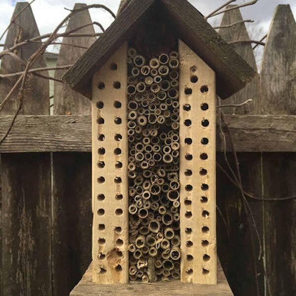 Mason Bee Hotel Mason Bee Hotel