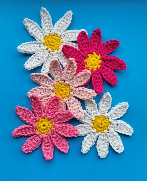 Daisy Flower Daisy Flower