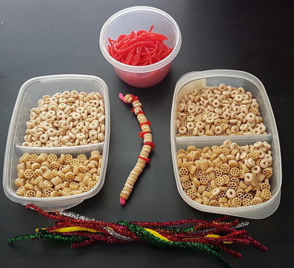 Spinal Cord Craft Spinal Cord Craft