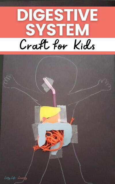 Digestive System Craft For Kids