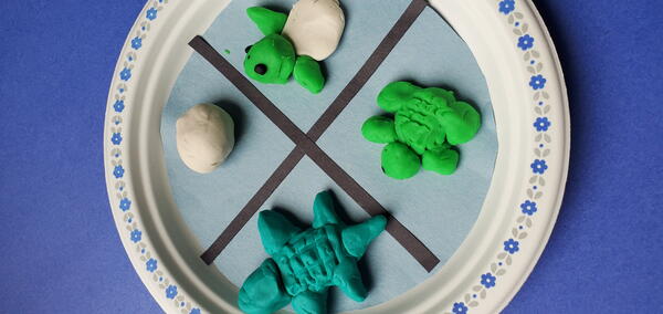 Sea Turtle Life Cycle Craft Sea Turtle Life Cycle Craft