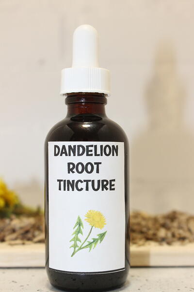 How To Make Dandelion Tincture How To Make Dandelion Tincture