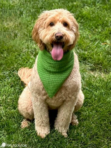 Dog Bandana Dog Bandana