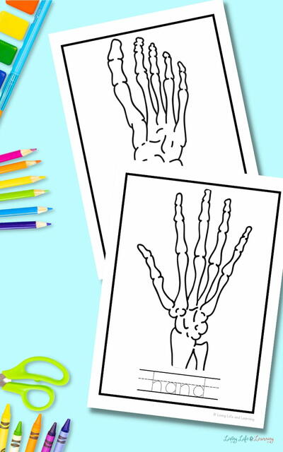 X-ray Coloring Pages X-ray Coloring Pages