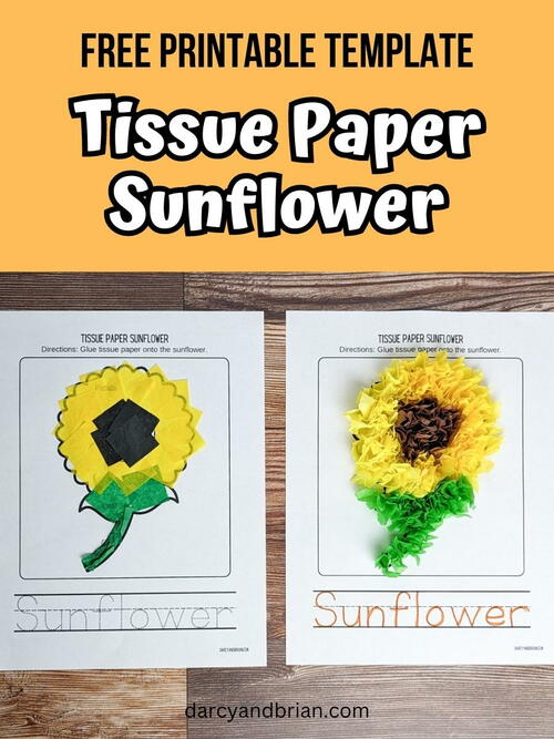 Tissue Paper Sunflower Craft Tissue Paper Sunflower Craft