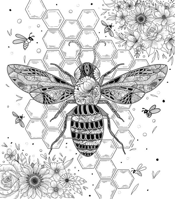 Enchanted Bee in Honeycomb Coloring Page Enchanted Bee in Honeycomb Coloring Page