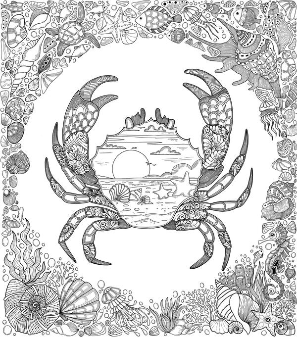 Enchanted Crab Coloring Page Enchanted Crab Coloring Page