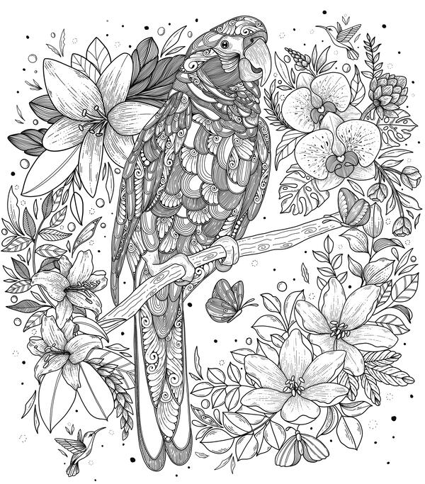 Enchanted Parrot Coloring Page Enchanted Parrot Coloring Page