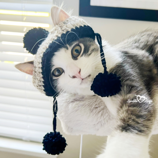 Pom Pom Hat For Cats Pom Pom Hat For Cats