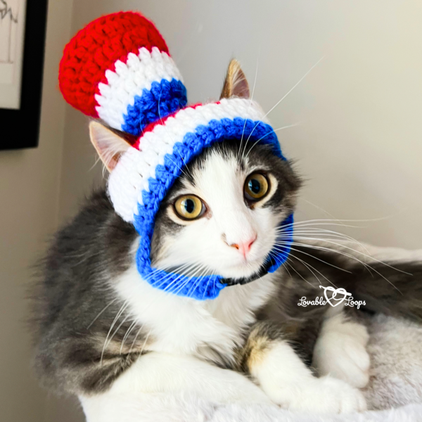 Patriotic Crochet Hat For Cat Patriotic Crochet Hat For Cat
