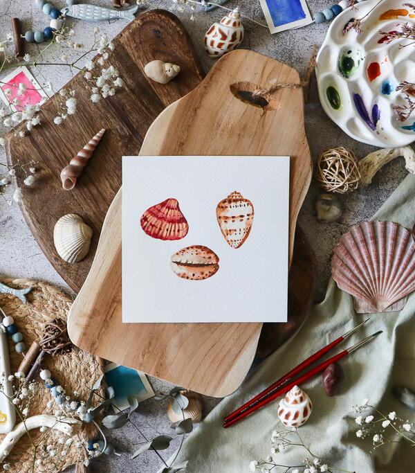 By the Sea Seashells By the Sea Seashells