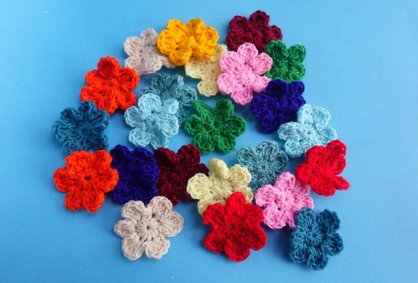 Blomming Daisy Flowers Blomming Daisy Flowers