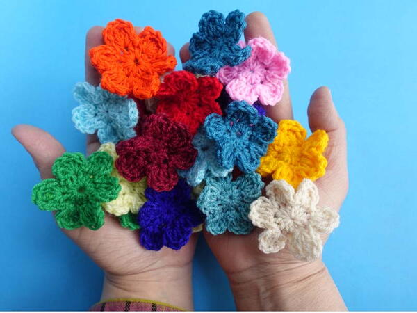 Blomming Daisy Flowers Blomming Daisy Flowers