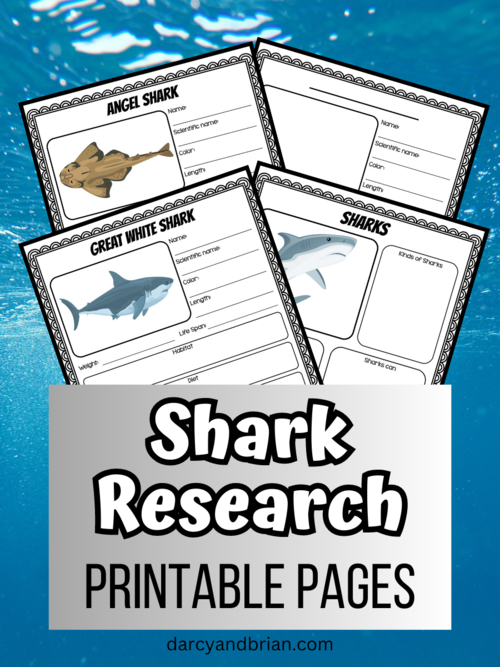 Printable Shark Research Worksheets Printable Shark Research Worksheets