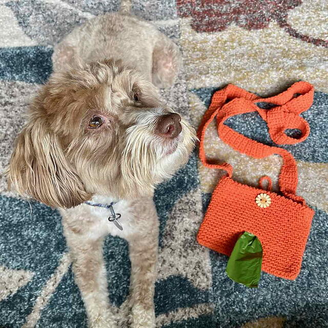 Crossbody Doggy Bag Crossbody Doggy Bag