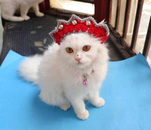 Baby Crown Handmade Baby Crown Handmade