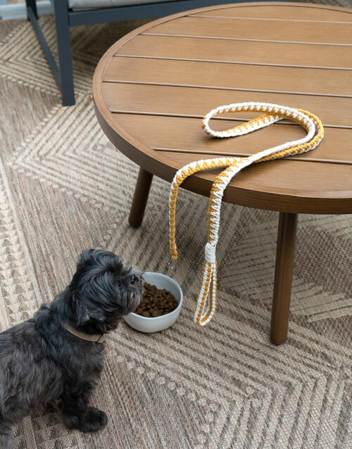 Laylas Leash Laylas Leash