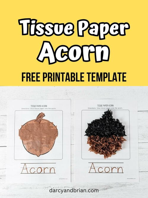 Acorn Tissue Paper Craft Acorn Tissue Paper Craft