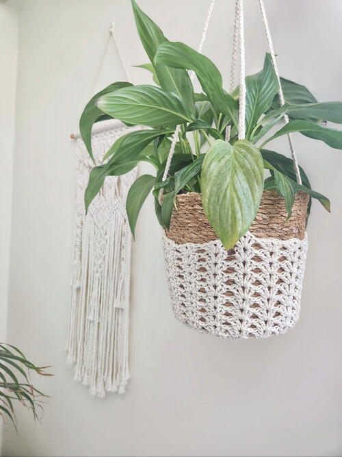 Iris Plant Hanger Iris Plant Hanger