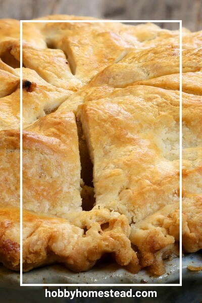 Old Fashioned Homemade Apple Pie Recipe Old Fashioned Homemade Apple Pie Recipe