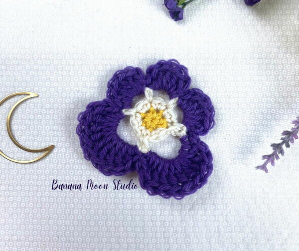 Purple Pansy Flower Purple Pansy Flower