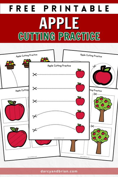 Apple Cutting Worksheet Apple Cutting Worksheet