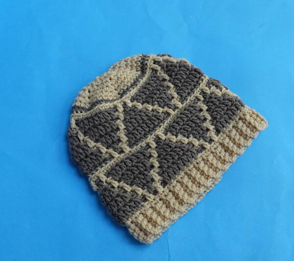Mosaic Crochet Hat Mosaic Crochet Hat