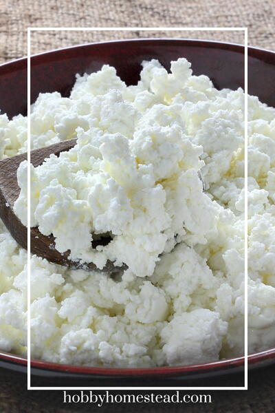 Homemade Cottage Cheese Homemade Cottage Cheese