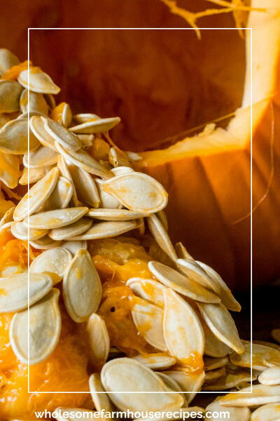 How To Make Roasted Pumpkin Seeds 6 Different Ways How To Make Roasted Pumpkin Seeds 6 Different Ways