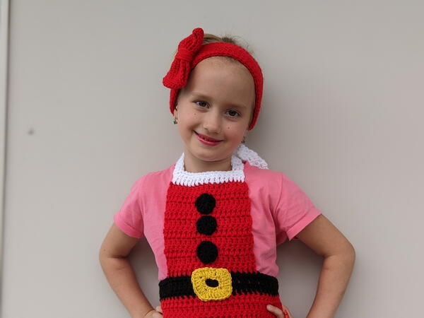 Santa Apron Santa Apron