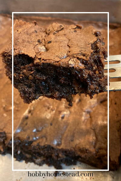 Rich And Chewy Homemade Brownies From Scratch Recipe Rich And Chewy Homemade Brownies From Scratch Recipe