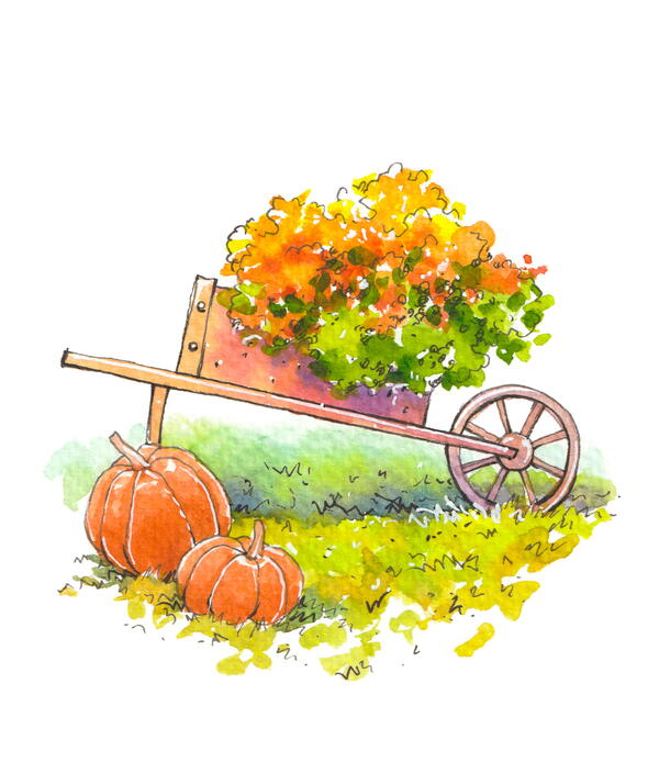 Lesson 15 Garden on the Go Lesson 15 Garden on the Go