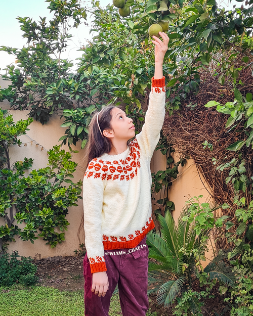 Forest Haze Sweater Forest Haze Sweater