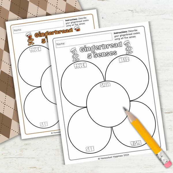 Gingerbread Five Senses Exploration Gingerbread Five Senses Exploration